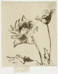 To Blomster af Theodore Roussel
