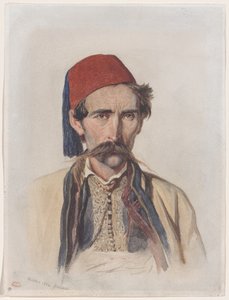 Overskægsslaver i Beograd