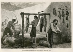 Tilberedning af castradina, specialitet af kød fra får og geder saltet og bucanee, mod slutningen af oktober, i Dalmatien (Istrien og Hercegovina (Kroatien)), tegning af Valerio, for at illustrere rejsen til Montenegro, i 1874, af Charles Yriarte