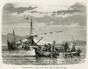 Svampefiskere i Nafplio-bugten, tegning af The. Weber, for at illustrere historien om en tur til Grækenland i 1861, 1868 og 1874 af Henri Belle. Indgravering i Le tour du monde