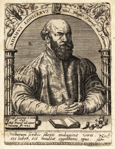 Adam Lonicer eller Lonitzer af Theodore de Bry