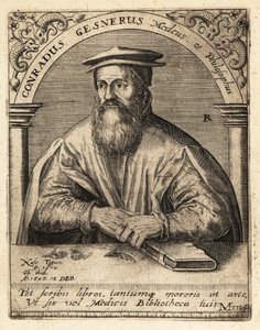 Conrad Gessner, schweizisk læge af Theodore de Bry