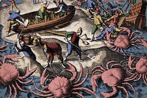 Europæiske navigatører kæmper mod stor krabbe. Gravering fra "Petities voyages aux Indes Orientales" af Theodore de Bry af Theodore de Bry