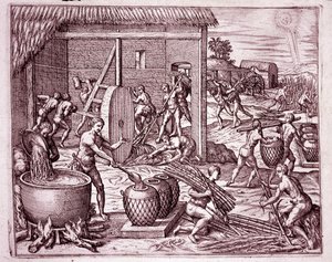 Amerikas historie: høst af sukkerrør og sukkerproduktion af indiske slaver, der arbejder for de spanske conquistadorer (gravering af Theodore de Bry