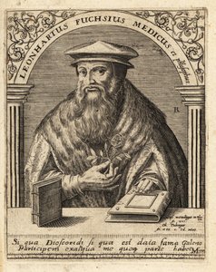 Leonhart Fuchs, tysk læge og botaniker 1501-1566. af Theodore de Bry