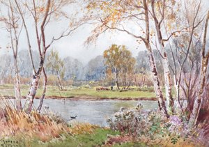 Solrig dag på Ouse (akvarel)