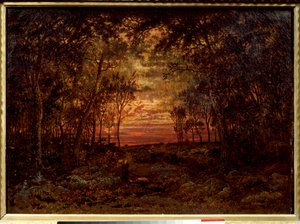 Solnedgang i skoven Maleri af Theodore Rousseau (1812-1867) Barbizon School fra det 19. århundrede. Svag. 0,46x0,62m. Olie på lærred. .