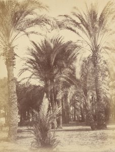 Gous af Théodule Devéria