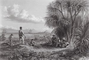 Australien: En opdagelsesrejsendes lejr (kobberstik) af Thomas (after) Baines