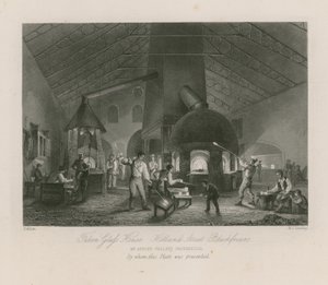 Falcon Glashus af Thomas Allom