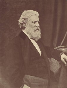 Portræt af D.O. Hill, 1867, trykt ca. 1900-tallet.