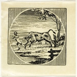 Bogillustration af Thomas Bewick
