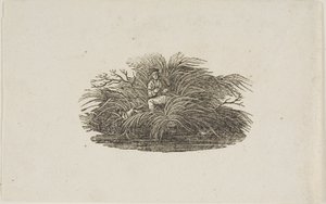 Halestykke: Man in Bush af Thomas Bewick