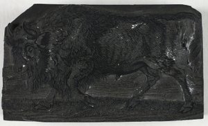 Træblok til Urus eller Vild Tyr, fra A General History of Quadrupeds af Thomas Bewick