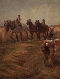 Harvest Scene