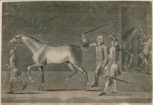 En hestekurser, der sælger en nag - advarsler af Thomas Burford