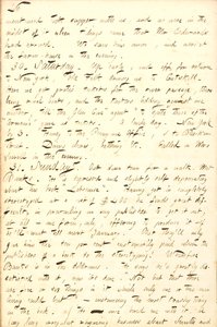 Thomas Butler Gunn Diaries- bind 8, side 53, 29-31. August, 1856 af Thomas Butler Gunn