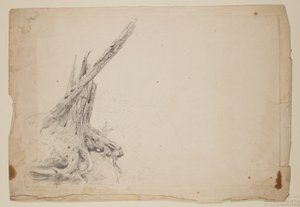 Brudt stamme af et træ (blyant på papir) af Thomas Cole