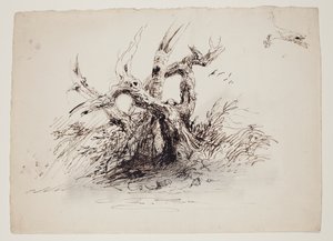 Knudrede træstammer, ca. 1826 (pen og blæk over grafit på papir) af Thomas Cole
