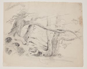 Eg og hemlock træer (blyant på papir) af Thomas Cole