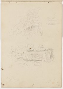 Plante i Colosseum; arkitektonisk fragment af Thomas Cole