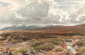 A Sussex Common, c1889 af Thomas Collier