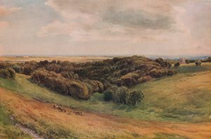 Arundel Park, 1874 af Thomas Collier