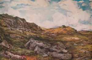 Blythburgh Common, 1888 af Thomas Collier