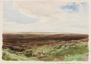 Moorland nær Hart Leap Well, Yorkshire (akvarel på papir) af Thomas Collier