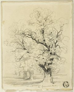 Ches[t]nut i Greenwich Park af Thomas Creswick