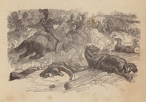 Den lette brigades angreb (koloreret gravure) af Thomas Dalziel