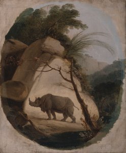 Det indiske næsehorn af Thomas Daniell