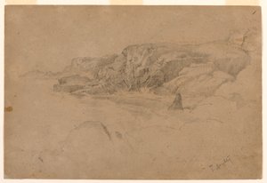 Studie fra naturen af Thomas Doughty