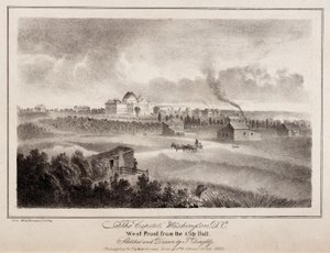 Capitol. Washington, D.C. af Thomas Doughty