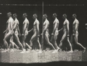 [Man Walking, Stroboscopic Photograph], 1880