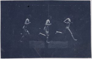 Marey Wheel-fotografier af George Reynolds, ca. 1884. af Thomas Eakins