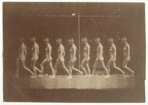 Marey Wheel-fotografier af uidentificeret model, 1884. af Thomas Eakins