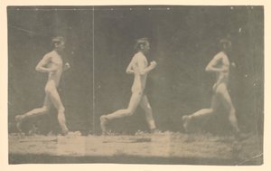 Marey Wheel-fotografier af uidentificeret model, 1884. af Thomas Eakins