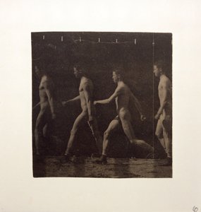 Marey Wheel-fotografier af uidentificeret model, ca. 1884. af Thomas Eakins