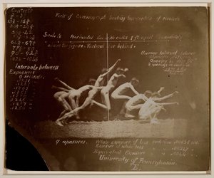 Marey Wheel-fotografier af uidentificeret model, med Eadweard Muybridge-notationer, 1884. af Thomas Eakins