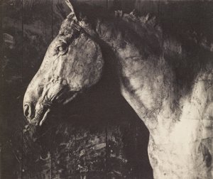 [Gipsmodel af Clinker til et rytterrelief af general Grant] af Thomas Eakins