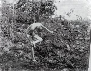 Tornetrækker, ca. 1883. af Thomas Eakins