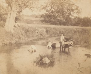 [Tre børn og en hund, der leger i åen, 4. juli 1883], 1883., 1883. af Thomas Eakins