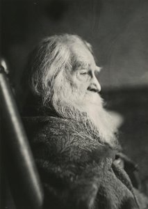 Walt Whitman i Camden, N.J., ca. 1891. af Thomas Eakins