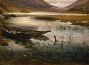 Både og åkander af Thomas Fearnley