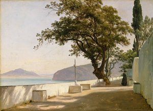 Terrasse med eg, Sorrento af Thomas Fearnley