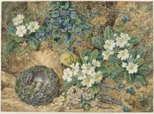 Stilleben af ​​en fuglerede, violer, primulaer og æbleblomster af Thomas Frederick Collier