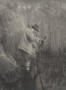 En sivskærer på arbejde,1886 (foto)