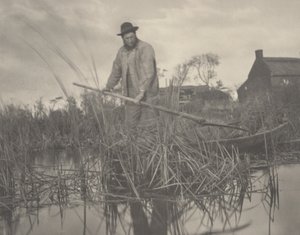 Skæring af Gladdon, 1886 (foto)