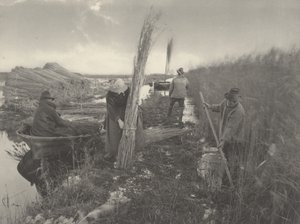 Under sivhøsten, 1886 (foto)